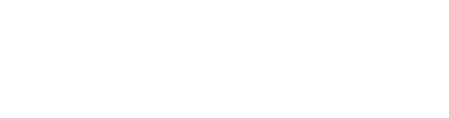 PayPal icon