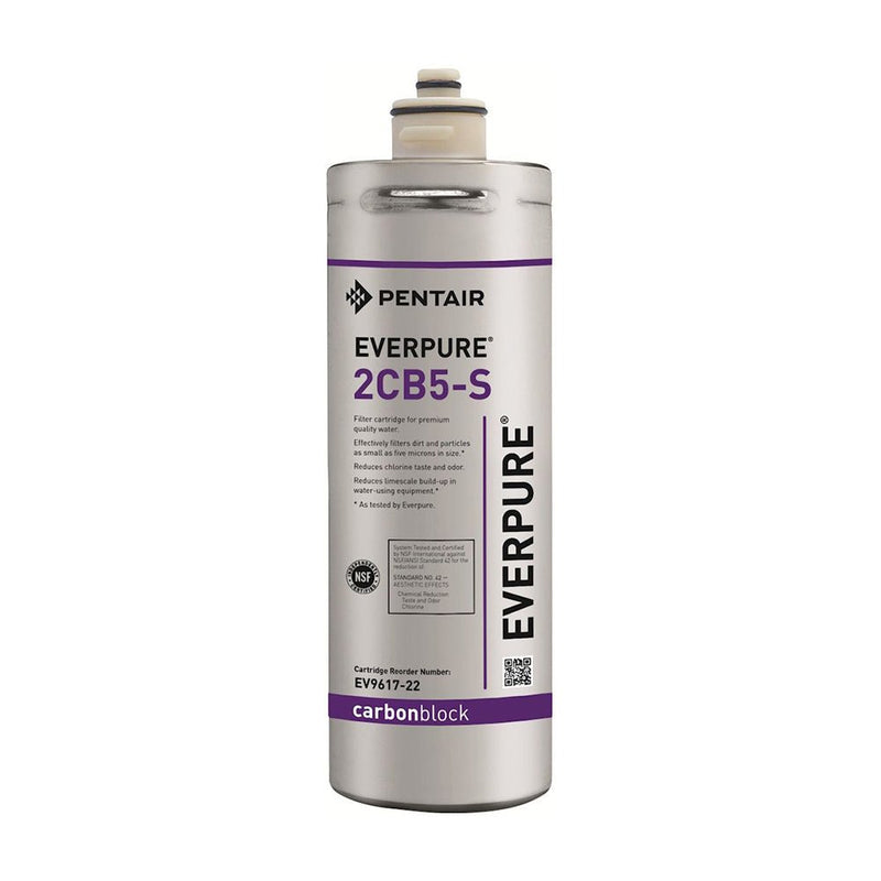 Everpure 2CB5-S Water Filter Cartridge - EV961722