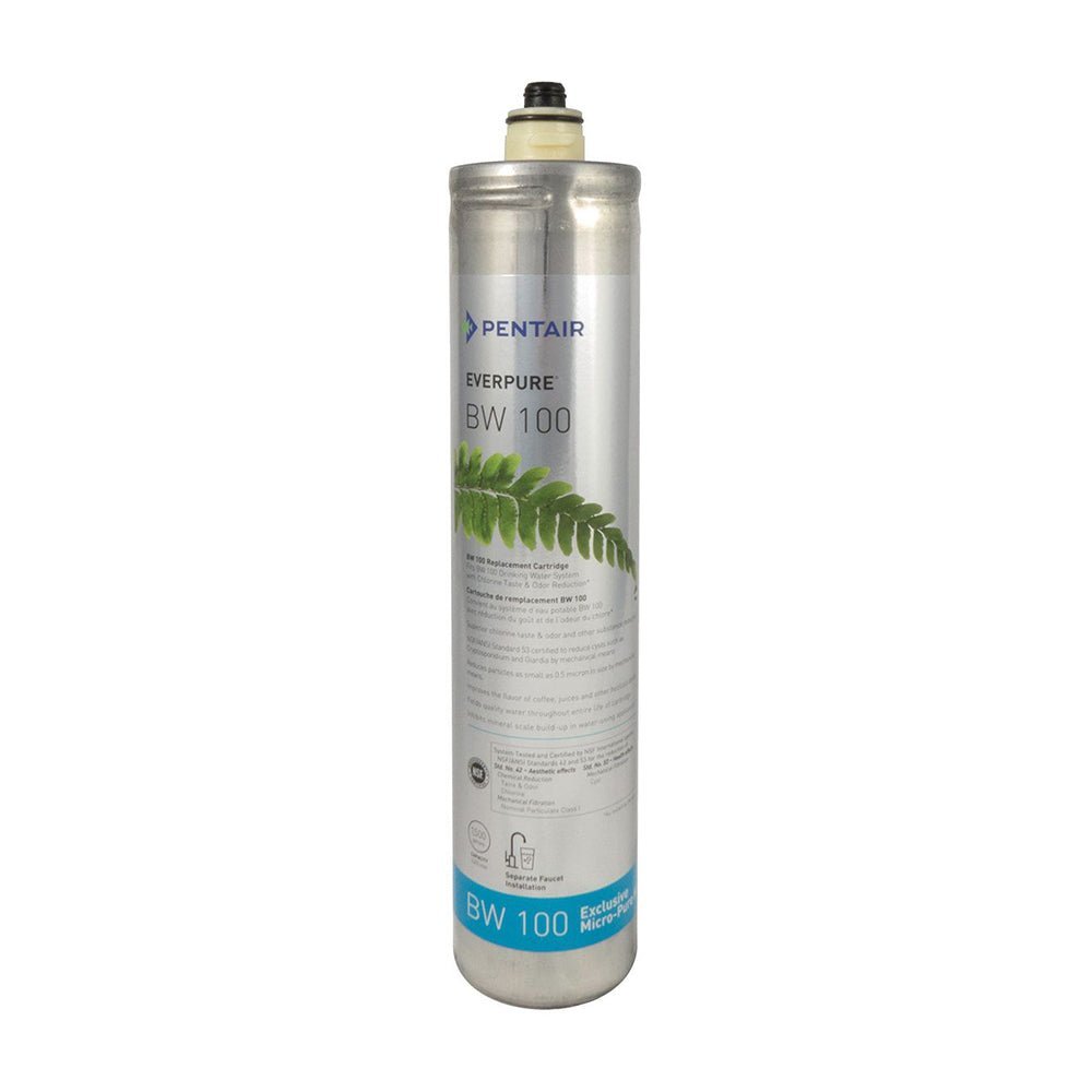 Everpure BW100 (DW100F) Water Filter Cartridge - EV966816 - Filter Flair