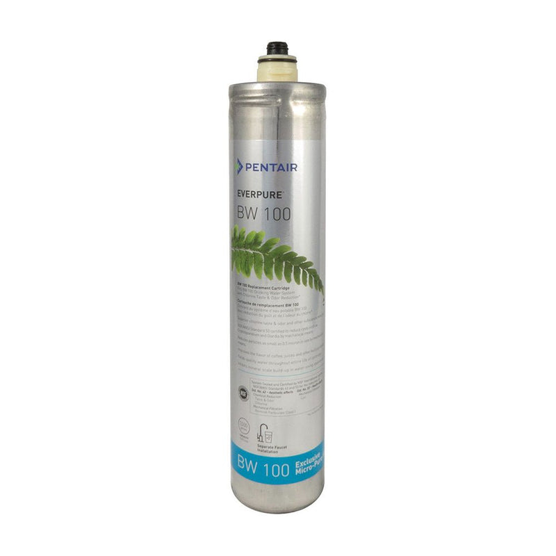 Everpure BW100 (DW100F) Water Filter Cartridge - EV966816