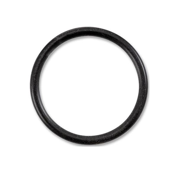 Omnipure Q Series Head O - Ring - Large (H - 118) - Filter Flair