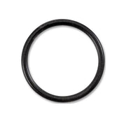 Omnipure Q Series Head O - Ring - Large (H - 118) - Filter Flair